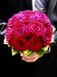 Similar image 1545578