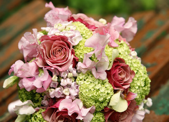 Similar image 1545585