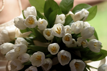 Similar image 1545590