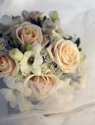 Similar image 1545592