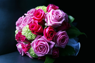 Similar image 1545593