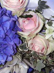 Similar image 1545594