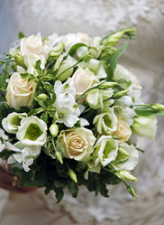 Similar image 1545596