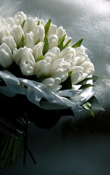 Similar image 1545598