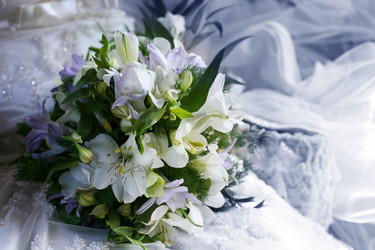 Similar image 1545599