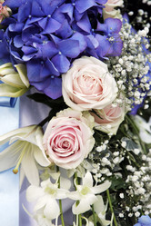 Similar image 1545602