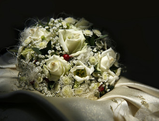 Similar image 1545609