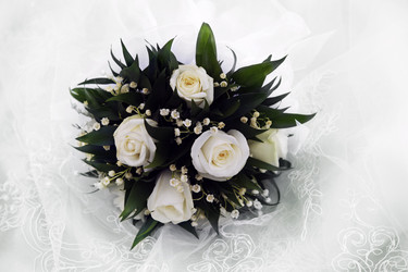 Similar image 1545612