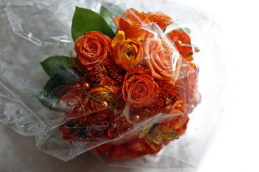 Similar image 1545614