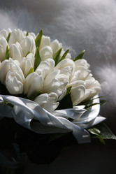 Similar image 1545618