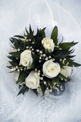 Similar image 1545619