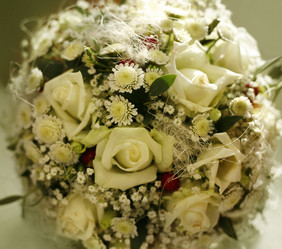 Similar image 1545632