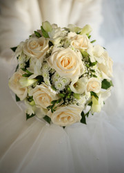 Similar image 1545634