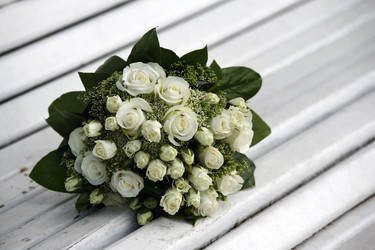 Similar image 1545635