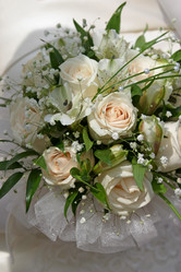 Similar image 1545639