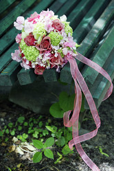 Similar image 1545646