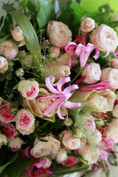 Similar image 1545647