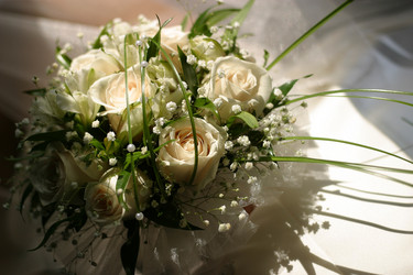 Similar image 1545653