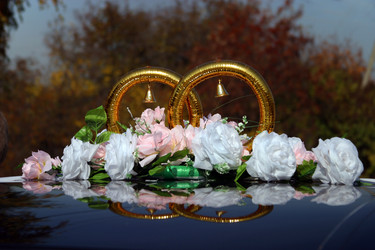 Similar image 1545655