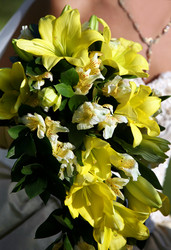 Similar image 1545662