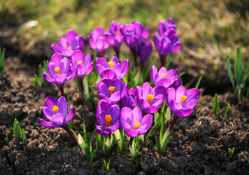 Similar image 1545726