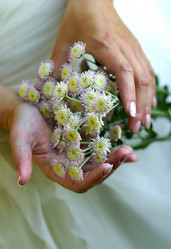 Similar image 1545728