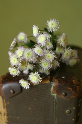 Similar image 1545729