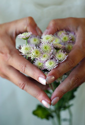 Similar image 1545732