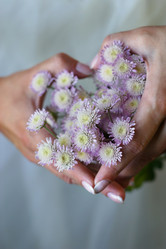 Similar image 1545737