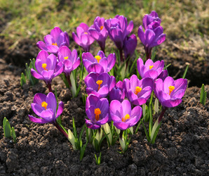 Similar image 1545739