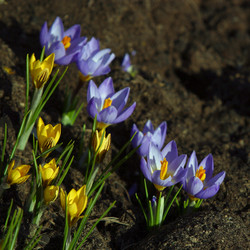 Similar image 1545750