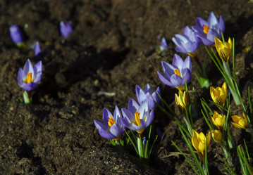 Similar image 1545751