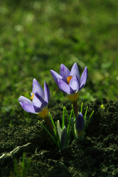 Similar image 1545752