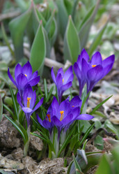 Similar image 1545753