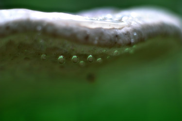 Similar image 1545756