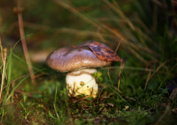 Similar image 1545757