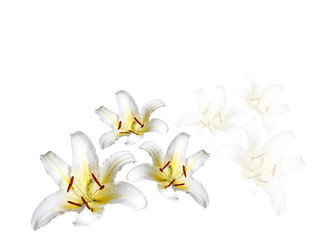 Similar image 1545766