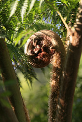 Similar image 1545771