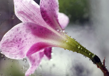 Similar image 1545775