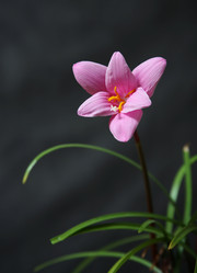 Similar image 1545779