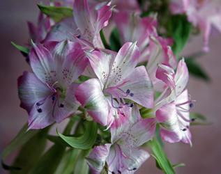 Similar image 1545780