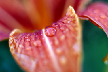 Similar image 1545790