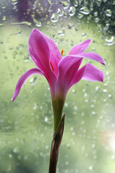 Similar image 1545797