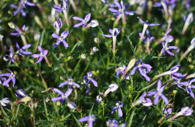 Similar image 1545816