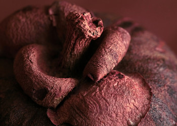 Similar image 1545847