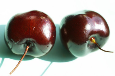 Similar image 1545849