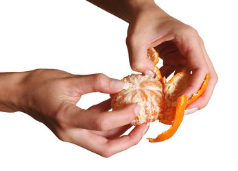 Similar image 1545855