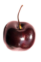 Similar image 1545859