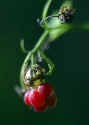 Similar image 1545870