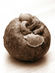 Similar image 1545877